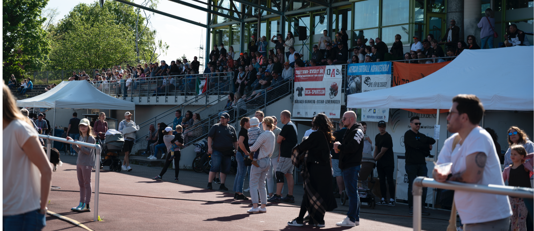 SV Kornwestheim Cougars - U 19 - Football Team in Ludwigsburg-Kornwestheim-Bietigheim