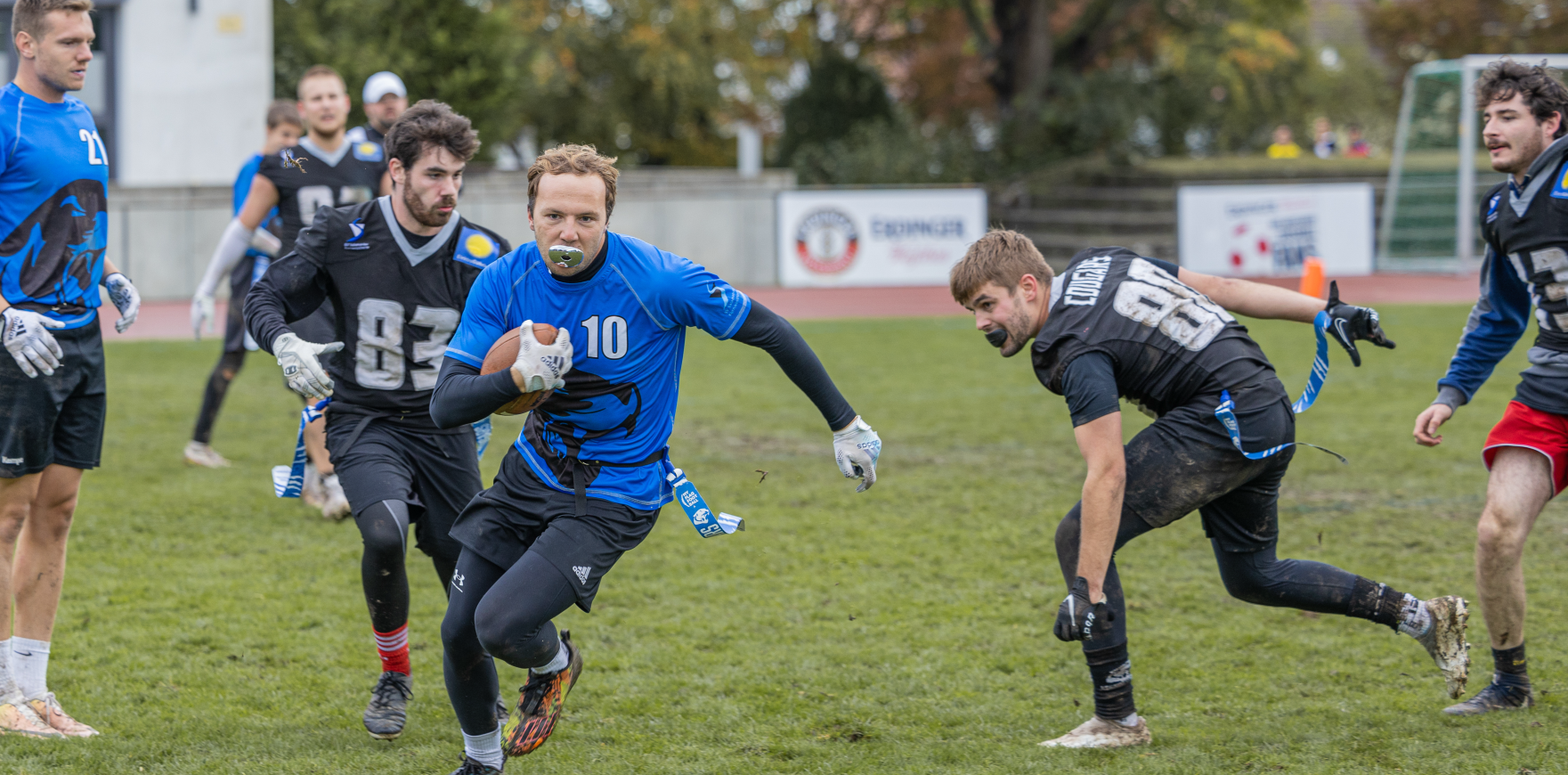 SV Kornwestheim Cougars - U 19 - Football Team in Ludwigsburg-Kornwestheim-Bietigheim